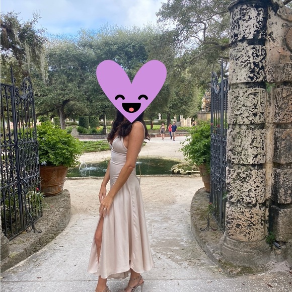 Fame and partners zephyrs Dress Champagne. Size 4-6 - Picture 2 of 3